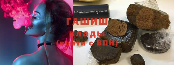 хмурый Белокуриха