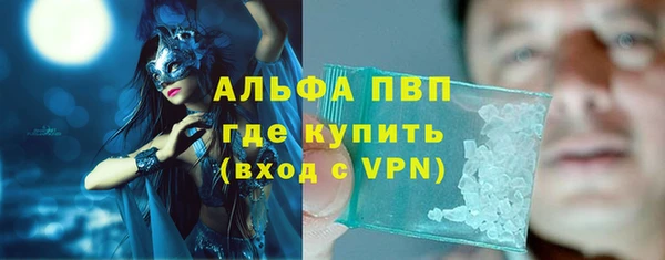 хмурый Белокуриха