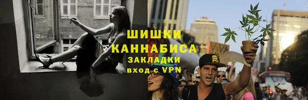 хмурый Белокуриха