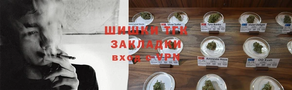 хмурый Белокуриха