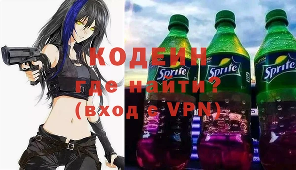 хмурый Белокуриха