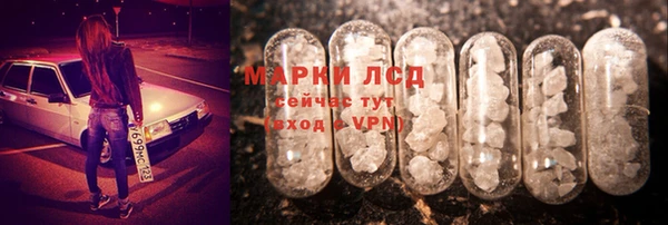 хмурый Белокуриха