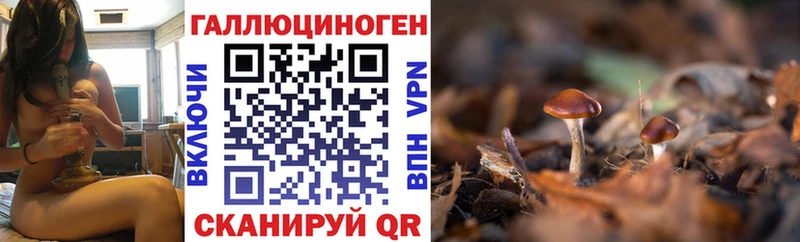 Псилоцибиновые грибы MAGIC MUSHROOMS даркнет сайт Полесск